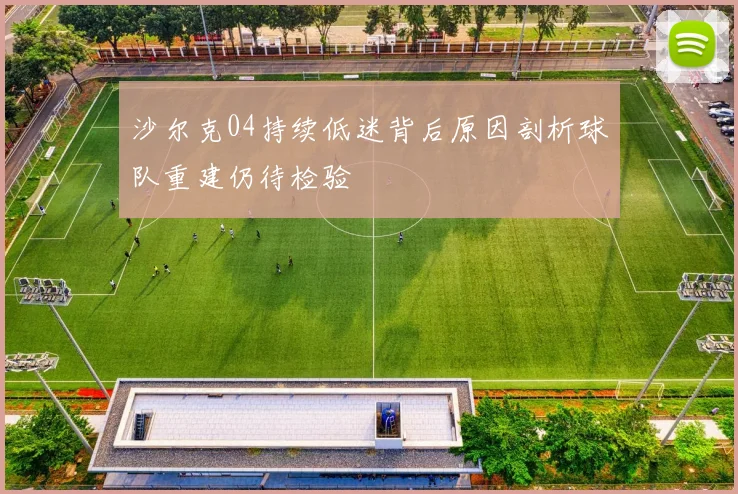 沙尔克04持续低迷背后原因剖析球队重建仍待检验
