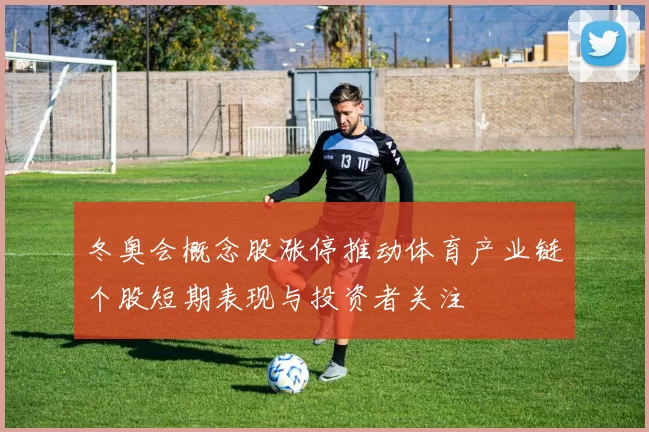 冬奥会概念股涨停推动体育产业链个股短期表现与投资者关注