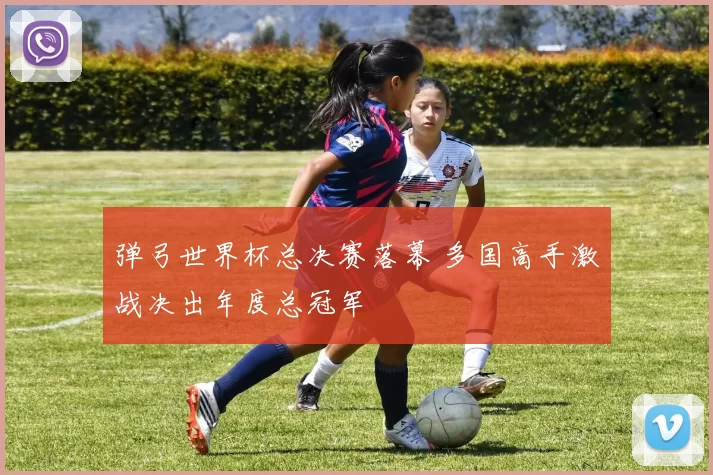 弹弓世界杯总决赛落幕 多国高手激战决出年度总冠军