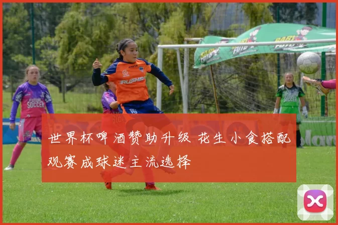 世界杯啤酒赞助升级 花生小食搭配观赛成球迷主流选择