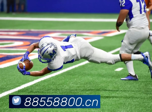 伊布斩获意甲金靴创AC米兰历史射手新纪录